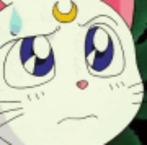 Meet your Posher, Jorge